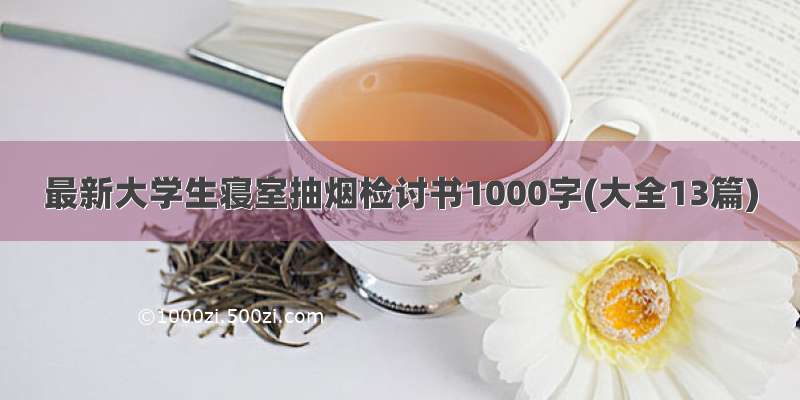 最新大学生寝室抽烟检讨书1000字(大全13篇)