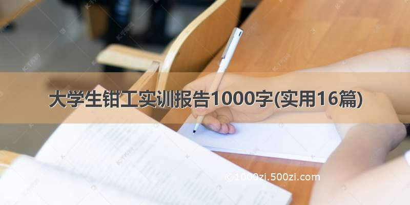 大学生钳工实训报告1000字(实用16篇)