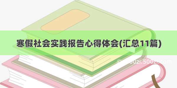 寒假社会实践报告心得体会(汇总11篇)