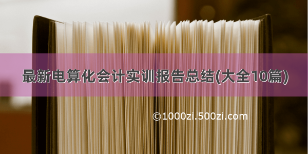 最新电算化会计实训报告总结(大全10篇)