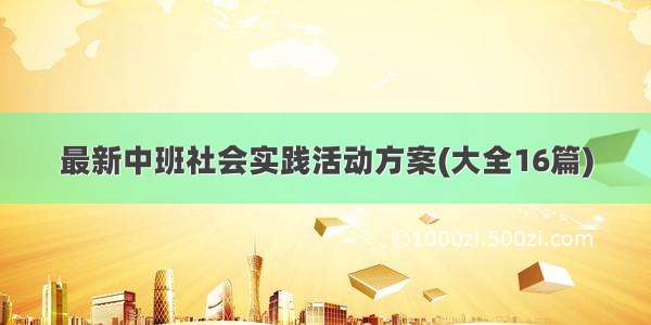 最新中班社会实践活动方案(大全16篇)