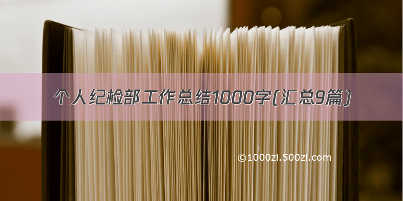个人纪检部工作总结1000字(汇总9篇)