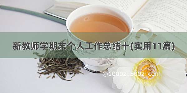 新教师学期末个人工作总结十(实用11篇)