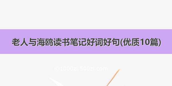 老人与海鸥读书笔记好词好句(优质10篇)