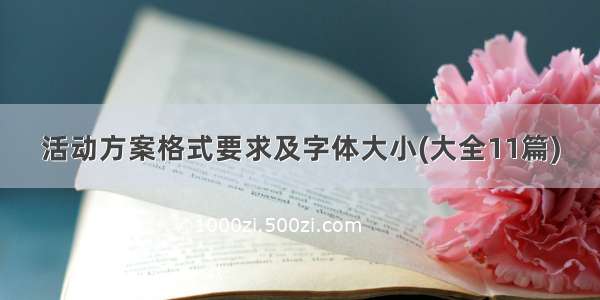 活动方案格式要求及字体大小(大全11篇)