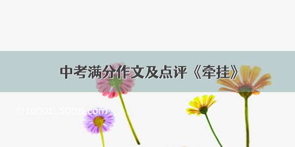 中考满分作文及点评《牵挂》