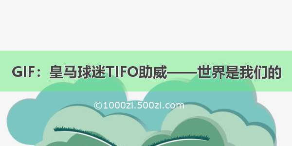 GIF：皇马球迷TIFO助威——世界是我们的