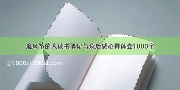 追风筝的人读书笔记与读后感心得体会1000字