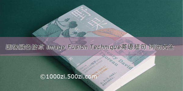 图像融合技术 Image Fusion Technique英语短句 例句大全