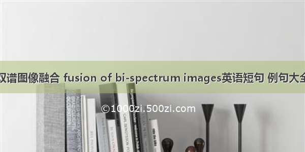 双谱图像融合 fusion of bi-spectrum images英语短句 例句大全