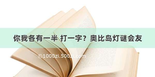 你我各有一半 打一字？奥比岛灯谜会友