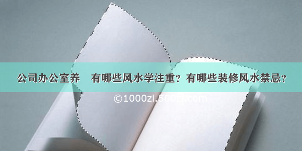 公司办公室养魚有哪些风水学注重？有哪些装修风水禁忌？