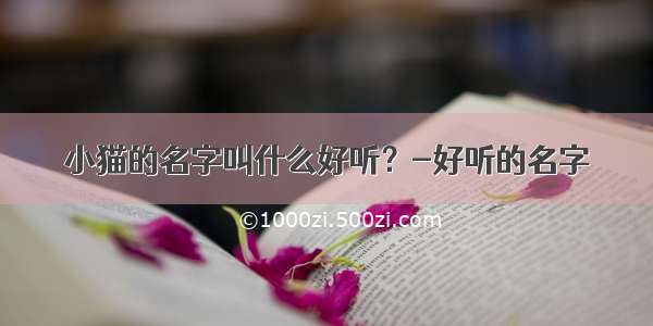 小猫的名字叫什么好听？-好听的名字