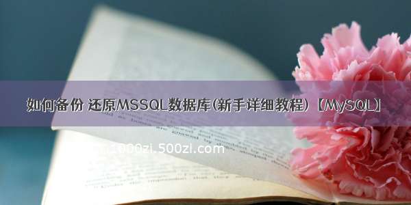 如何备份 还原MSSQL数据库(新手详细教程)【MySQL】