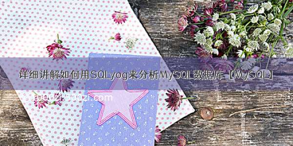 详细讲解如何用SQLyog来分析MySQL数据库【MySQL】