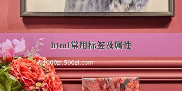 html常用标签及属性