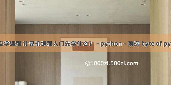新手如何自学编程 计算机编程入门先学什么？ – python – 前端 byte of python 中文