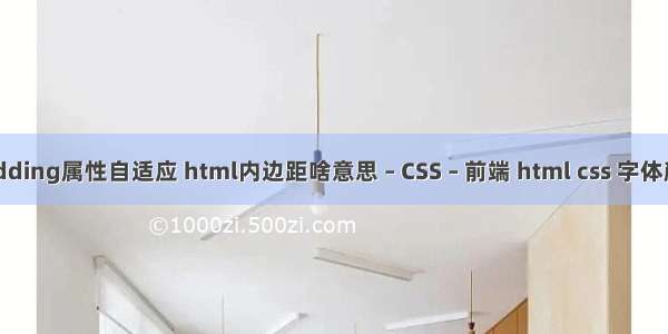 padding属性自适应 html内边距啥意思 – CSS – 前端 html css 字体颜色