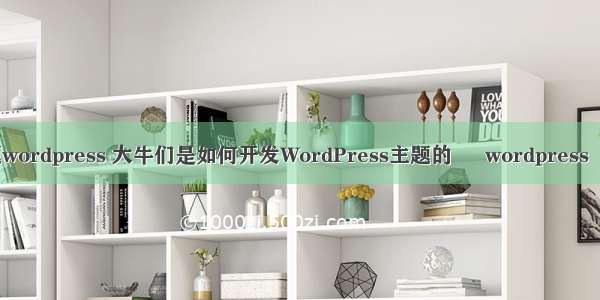 副标题wordpress 大牛们是如何开发WordPress主题的 – wordpress – 前端