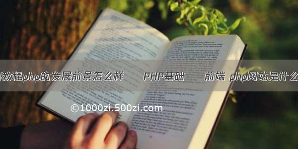 php快速入门教程php的发展前景怎么样 – PHP基础 – 前端 php网站是什么数据库文件