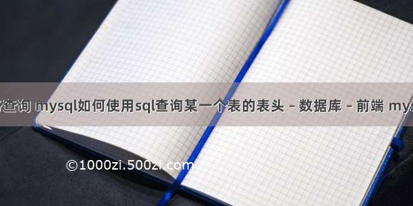 mysql 服务查询 mysql如何使用sql查询某一个表的表头 – 数据库 – 前端 mysql连接错误