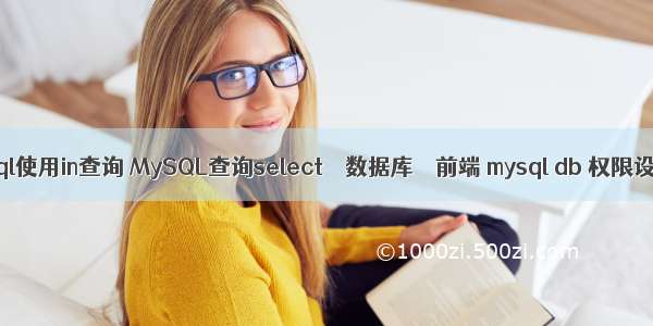 mysql使用in查询 MySQL查询select – 数据库 – 前端 mysql db 权限设置