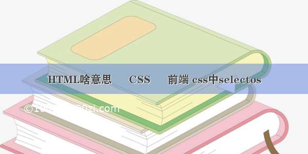 HTML啥意思 – CSS – 前端 css中selectos