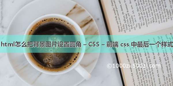 html怎么把背景图片设置圆角 – CSS – 前端 css 中最后一个样式