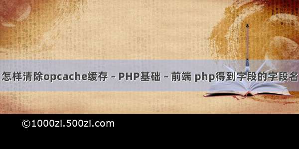 怎样清除opcache缓存 – PHP基础 – 前端 php得到字段的字段名