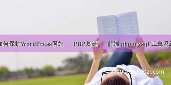 如何保护WordPress网站 – PHP基础 – 前端 php mysql 工单系统