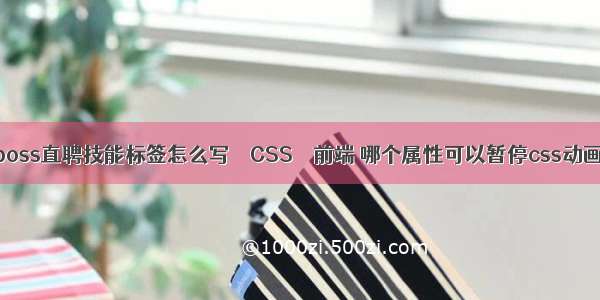 boss直聘技能标签怎么写 – CSS – 前端 哪个属性可以暂停css动画