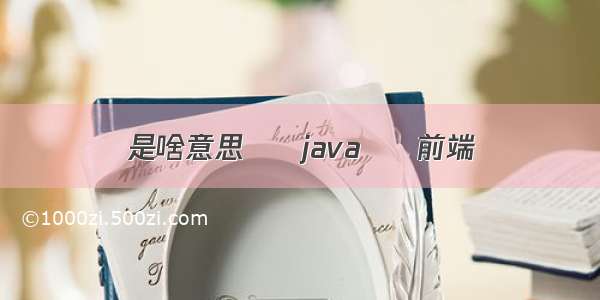 是啥意思 – java – 前端