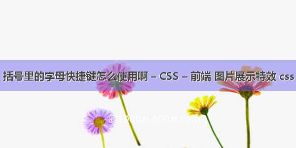 括号里的字母快捷键怎么使用啊 – CSS – 前端 图片展示特效 css