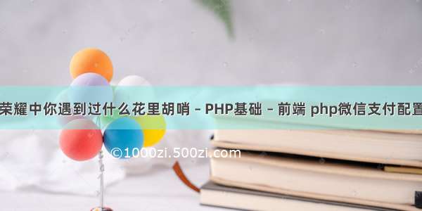 王者荣耀中你遇到过什么花里胡哨 – PHP基础 – 前端 php微信支付配置教程