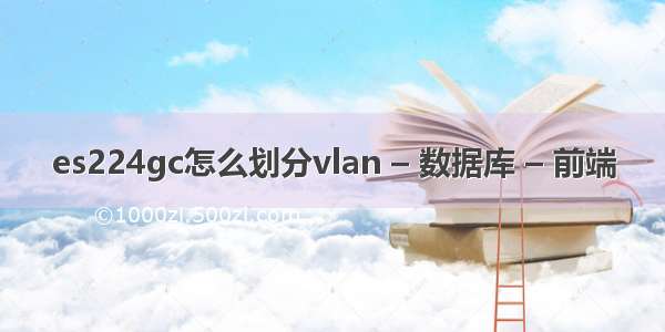 es224gc怎么划分vlan – 数据库 – 前端