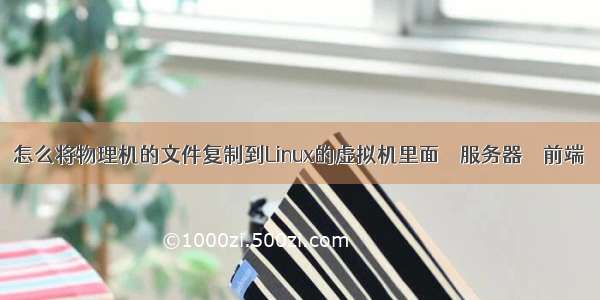 怎么将物理机的文件复制到Linux的虚拟机里面 – 服务器 – 前端