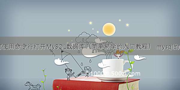 如何使用命令行打开MySQL数据库（简单易学的入门教程） mysql的case