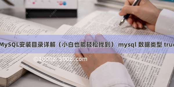 MySQL安装目录详解（小白也能轻松找到） mysql 数据类型 true