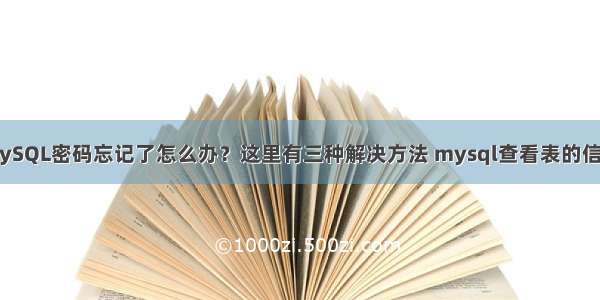 MySQL密码忘记了怎么办？这里有三种解决方法 mysql查看表的信息