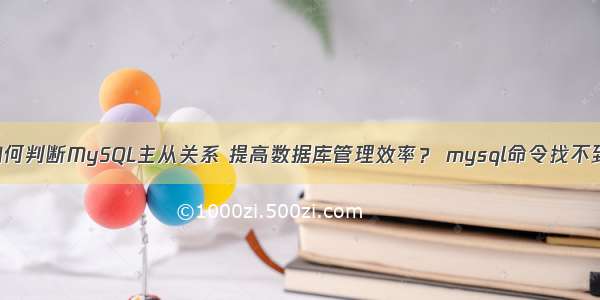 如何判断MySQL主从关系 提高数据库管理效率？ mysql命令找不到