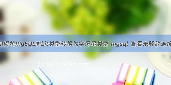 如何将MySQL的bit类型转换为字符串类型 mysql 查看未释放连接