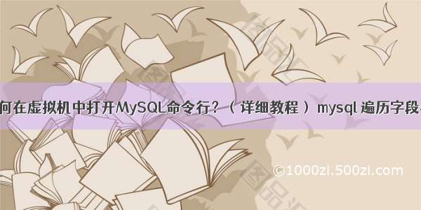 如何在虚拟机中打开MySQL命令行？（详细教程） mysql 遍历字段名