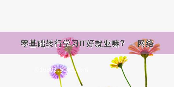 零基础转行学习IT好就业嘛？ – 网络