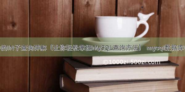 MySQL中的IN子查询详解（让你轻松掌握MySQL查询方法） mysql数据库中decimal