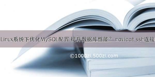 如何在Linux系统下优化MySQL配置 提升数据库性能？ navicat ssh连接mysql