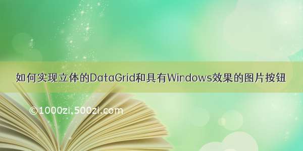 如何实现立体的DataGrid和具有Windows效果的图片按钮