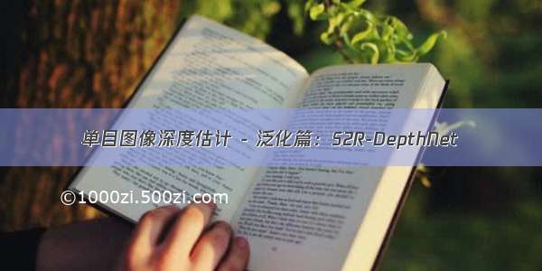 单目图像深度估计 - 泛化篇：S2R-DepthNet