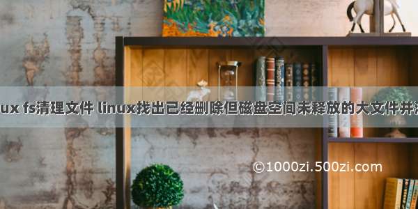 Linux fs清理文件 linux找出已经删除但磁盘空间未释放的大文件并清空