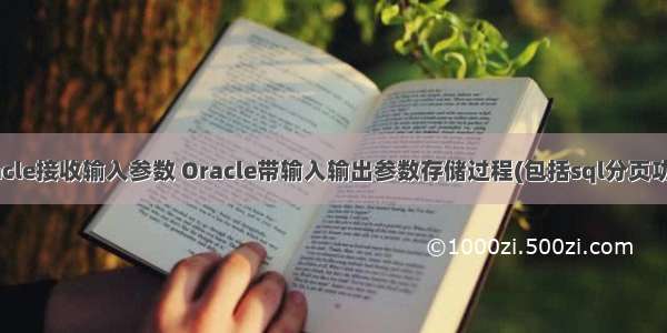 oracle接收输入参数 Oracle带输入输出参数存储过程(包括sql分页功能)