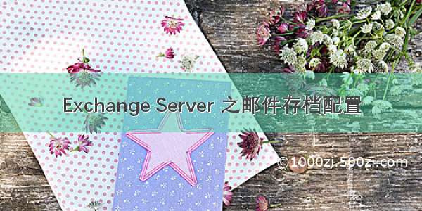 Exchange Server 之邮件存档配置